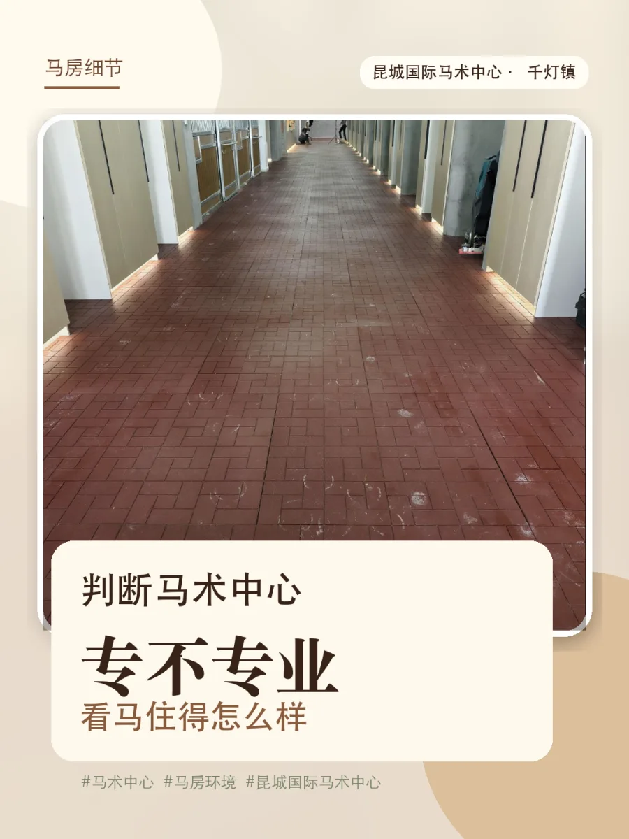 马术中心的马房走廊